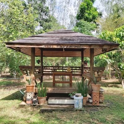 I'm a writer of Nice Vibes, Positive Thought, and Motivation Quotes. I love animal, nature, and love to learn another knowledge for improving myself.