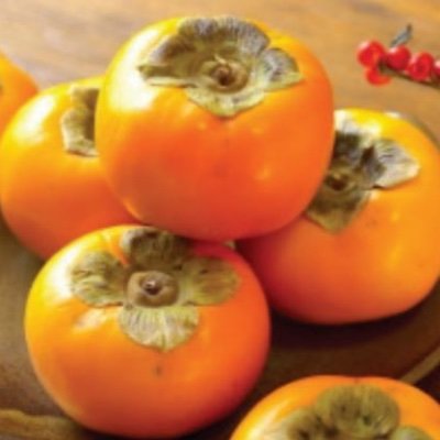 3persimmon Profile Picture