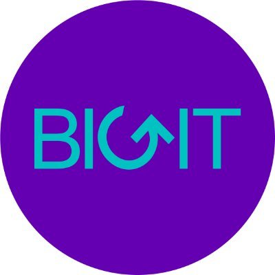 BIGIT Profile