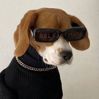 urrlose's profile picture. ayo stan dreamies untuk hidup yang lebih baik!.