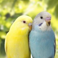 sss_sss (@mertdemirmso) 's Twitter Profile