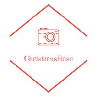 ChristmasRose_ᵖʰᵒᵗᵒ 🎈🎈(@xmasrose_1226) 's Twitter Profile Photo