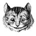 Curiouser llc ✡️ (@soi) Twitter profile photo Curiouser llc ✡️ (@soi) Twitter profile photo