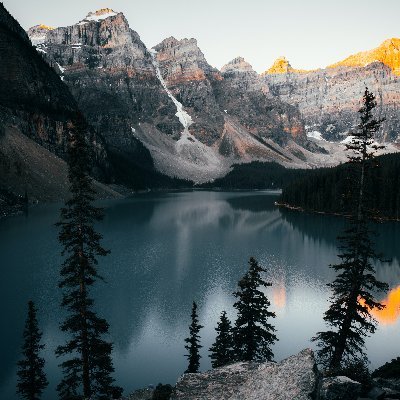 4BooksEssay's profile picture. 