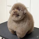 menliborpa's profile picture. 