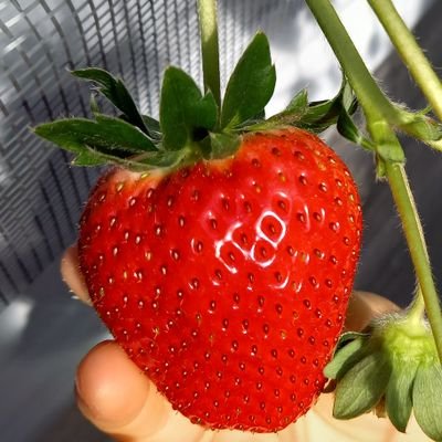 ojisan2022kara's profile picture. 