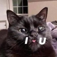 VelizChikito (@velizchikito) 's Twitter Profile