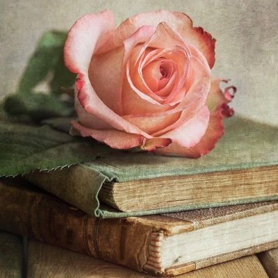 AsmaaSabiri's profile picture. 🇲🇦| Moroccan • Muslim • Mother • Data Analyst • Engineer • Teacher