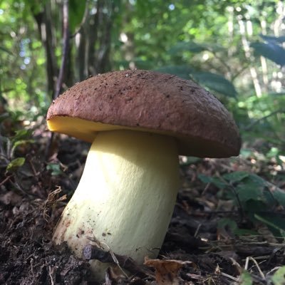 jamespoxon's profile picture. Dedicated to calling out the virtue signallers. Please just stop it. Thank you.