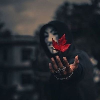 ruhsuzbeyyy's profile picture. 