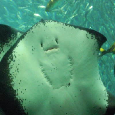 just_bookkeeper's profile picture. ベンチャーから大企業の経理部で10年以上働いているおっさん。
経理ネタ以外に投資、子育て、介護、地元ネタが好みっぽい。
超不定期でブログも書いてたりする。
2025年8月に資産一億円達成。