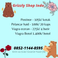 Grizzly.ShopIndo(@GrizzlyShopIndo) 's Twitter Profile Photo