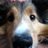 joelmangin's profile image