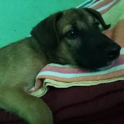 UPrabodani's profile picture. 