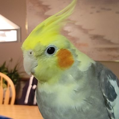 drummin7jeff's profile picture.