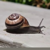 Fasim (@fasim05) Twitter profile photo