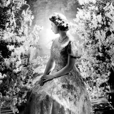 x01110000's profile picture. Royal Naval Engineer aboard HMS Defender | Proud Traditionalist & Monarchist | Make Britain British Again.