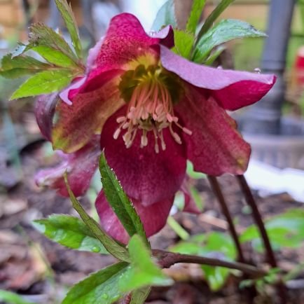 maryboland01's profile picture. Mum, Wife, Theatre Venue Director, Supporter of the Arts