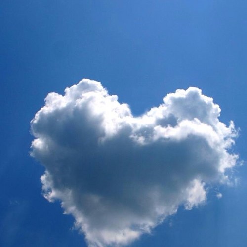 mecarra7's profile picture. 