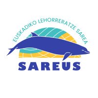 SAREUS(@SAREUS_PiE) 's Twitter Profile Photo