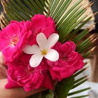 Sanatani-Om (@jagjeev70765578) 's Twitter Profile