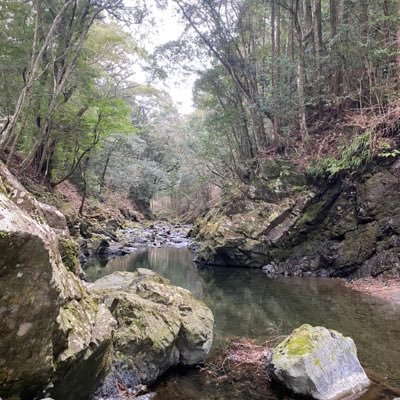 maron_koto_9696's profile picture. 