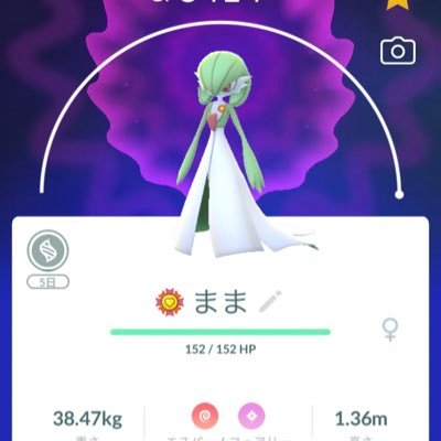 SirnightRalts's profile picture. 三重、愛知で活動中の♂ チームは赤    2022 10月20〜