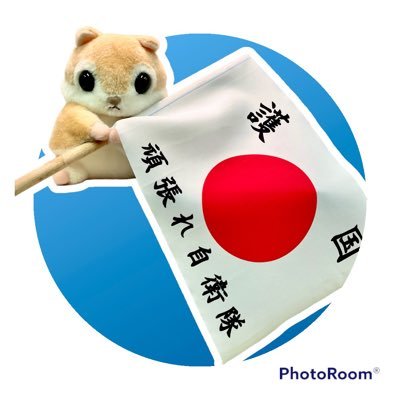 aki_doj_0218_3's profile picture. 日本を元気にする政治家や企業を応援します📣日本保守党党員 🐿️まさる部 No.377        自推協会員#DOJ(defence of japan)