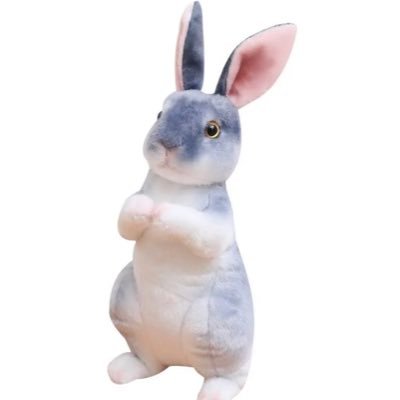 スビン！スギュ！단짝즈!! 🦊🐰🐻🐿️🐧無言フォロー失礼します。