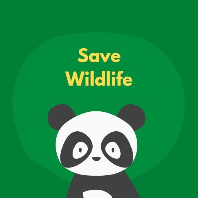 prannforpraanis's profile picture. We believe in a future where humans and animals coexist in harmony. 🌟🐘
🐯🦏🐗🐨🦍🐼🦁🦊....