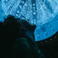 Cat Scott (@catscottart) 's Twitter Profile