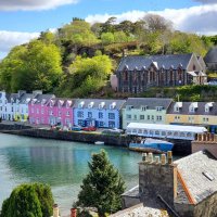 Shiya (@schen1101) 's Twitter Profile