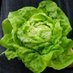 EAOF (@evansaquaponics) Twitter profile photo EAOF (@evansaquaponics) Twitter profile photo