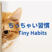 ちっちゃい習慣 Tiny Habits(@plamflower1) 's Twitter Profile Photo