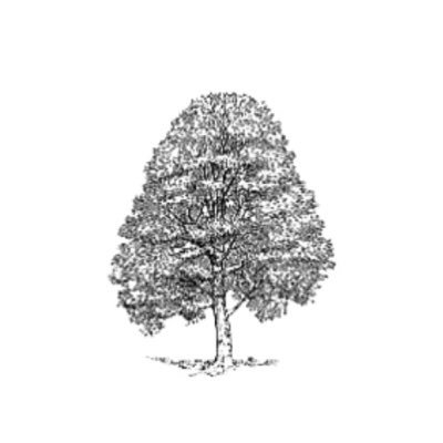 BeechwoodCare's profile picture. Beechwood Gardens is a family-run care home specialising in dementia care. Founded in 1995.