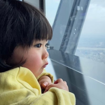 yamayu527's profile picture. 細々とテレビ番組のディレクターをしつつ、生きております。 人に何か価値提供ができるような人になりたいと常に考え、 何かやれることがないか模索しているので、何かあれば 何なりと皆様ご連絡下さいませ！！