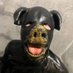 The Rubber Pig (@joshstew7) Twitter profile photo The Rubber Pig (@joshstew7) Twitter profile photo