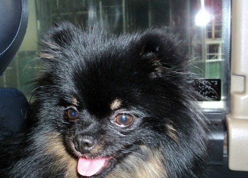 hulamonkeydog's profile picture. pianist, educator, critic, examiner, adjudicator. http://t.co/hapd1aOOQY