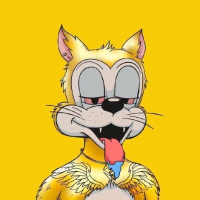 cdhxjdxj's profile picture. 