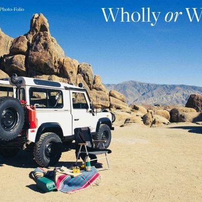 swiftlovely2's profile picture. 