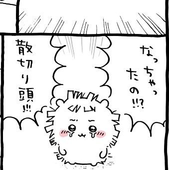 matsu_chiikawa's profile picture. 35歳 / 独身 / 趣味：ちいかわ、競馬、競輪、野球、お笑い、音楽 / 大卒→証券→テレビ局AD→自動車保険→イベント設営→住設メーカー→SES→SES→SES→無職 →人間の皮を被った屍→警備員