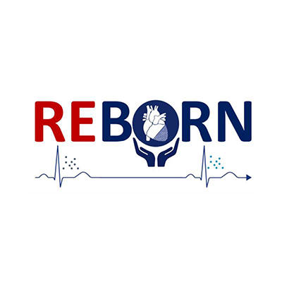 The REBORN project will aim to use smart and multifunctional biomaterials to deliver a new medical device in the form of a cardiac patch.