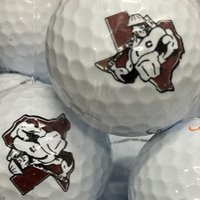 CHSGOLF(@golfcarr) 's Twitter Profile Photo