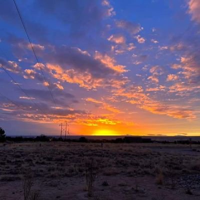 davidsamc1's profile picture. 