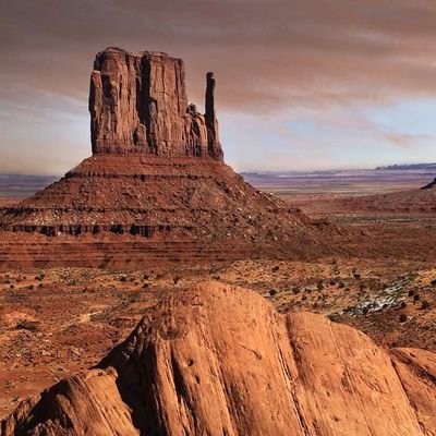 kioko8_kioko's profile picture. 