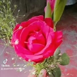 লা ইলাহা ইল্লাল্লাহু মুহাম্মাদুর রাসূলুল্লাহ (সা.)