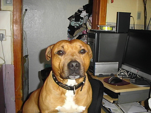 danebrierley88's profile picture. 