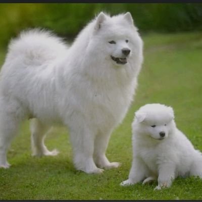 Donslimgmore247's profile picture. Smart and sexy
