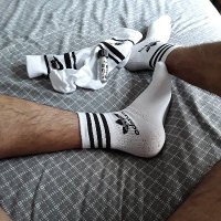AraBATOR (@tlstop) 's Twitter Profile Photo