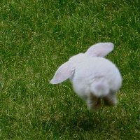 leaf 🍃 • Side Acct. (@yes_zsz) 's Twitter Profile Photo